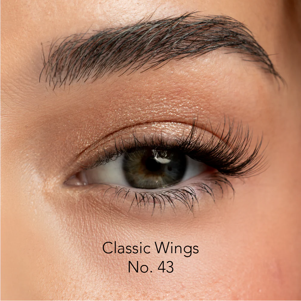 Lash Wings - Image 4